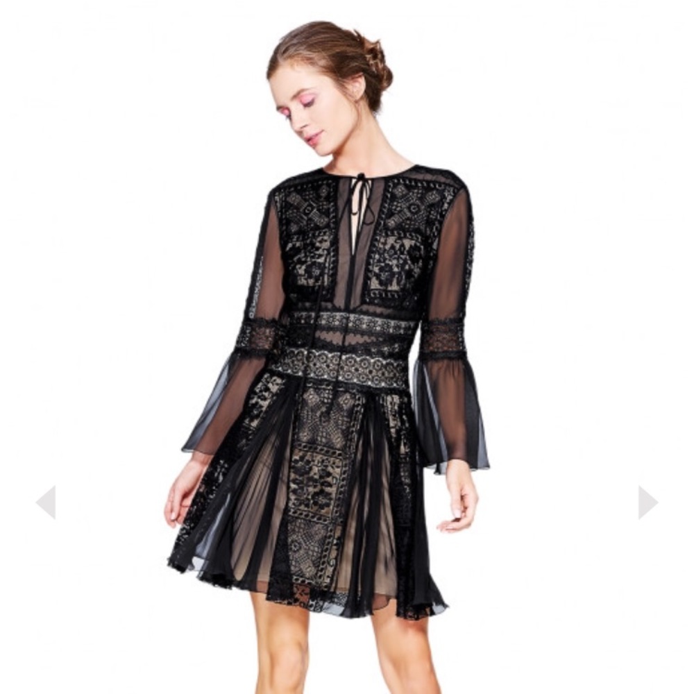 Tadashi Shoji Millie parisian evening dress lace